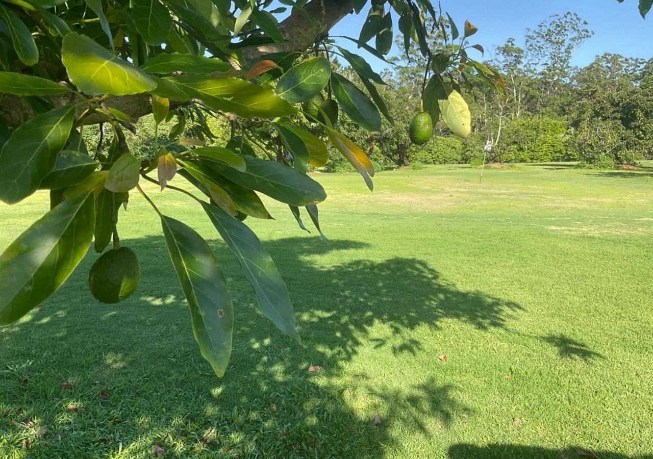 Apartment Sunshine Coast Retreat Your Own Private Golf Course *